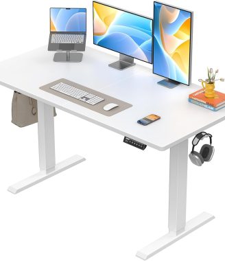 ErGear Electric Standing Desk, 48 x 24 inch Height Adjustable Sit Stand Up Desk, Computer Home Office Desk with 4 Memory Height Buttons, Two Pieces Desktop, White, EGESD110W